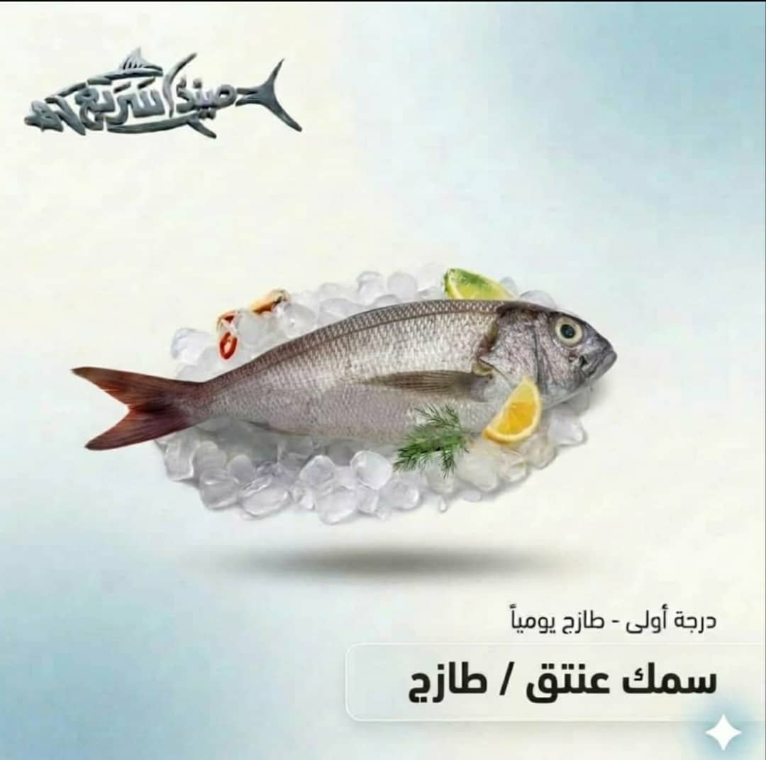 سمك عنتق كامل