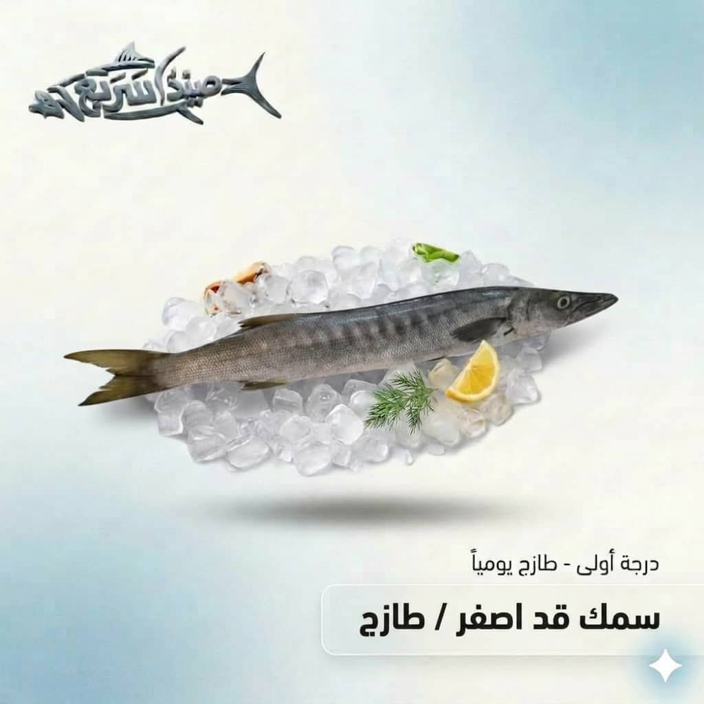 سمك قد اصفر كامل