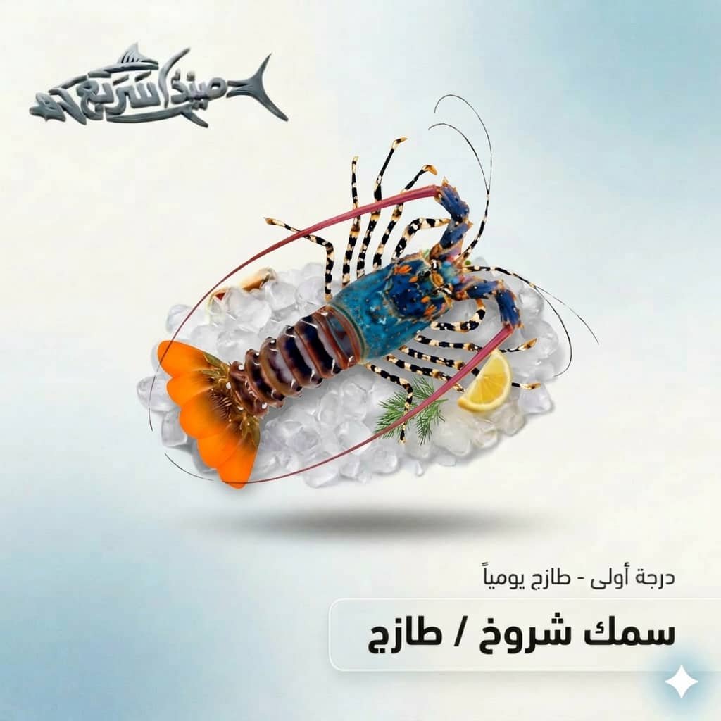 شروخ