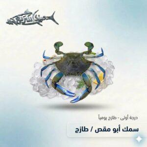 ابو مقص